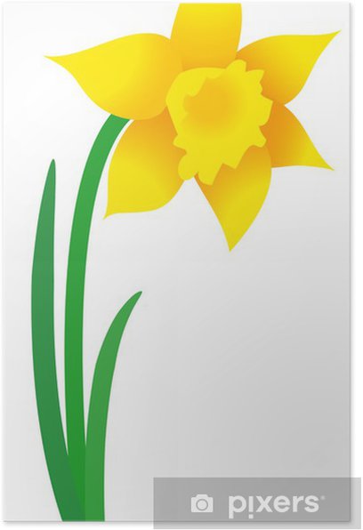 plakaty zonkil wielkanoc kwiat kwiaty wiosny grafiki wektorowej